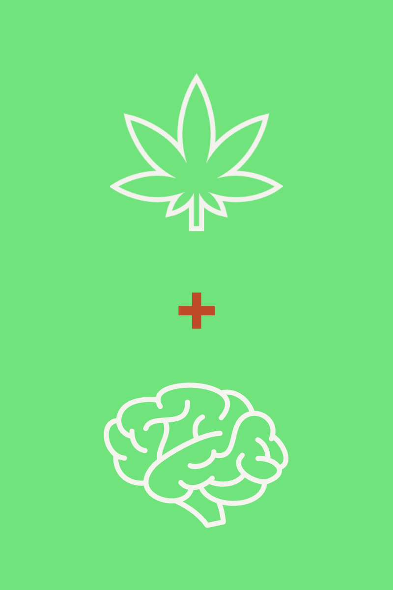 cannabis + brain