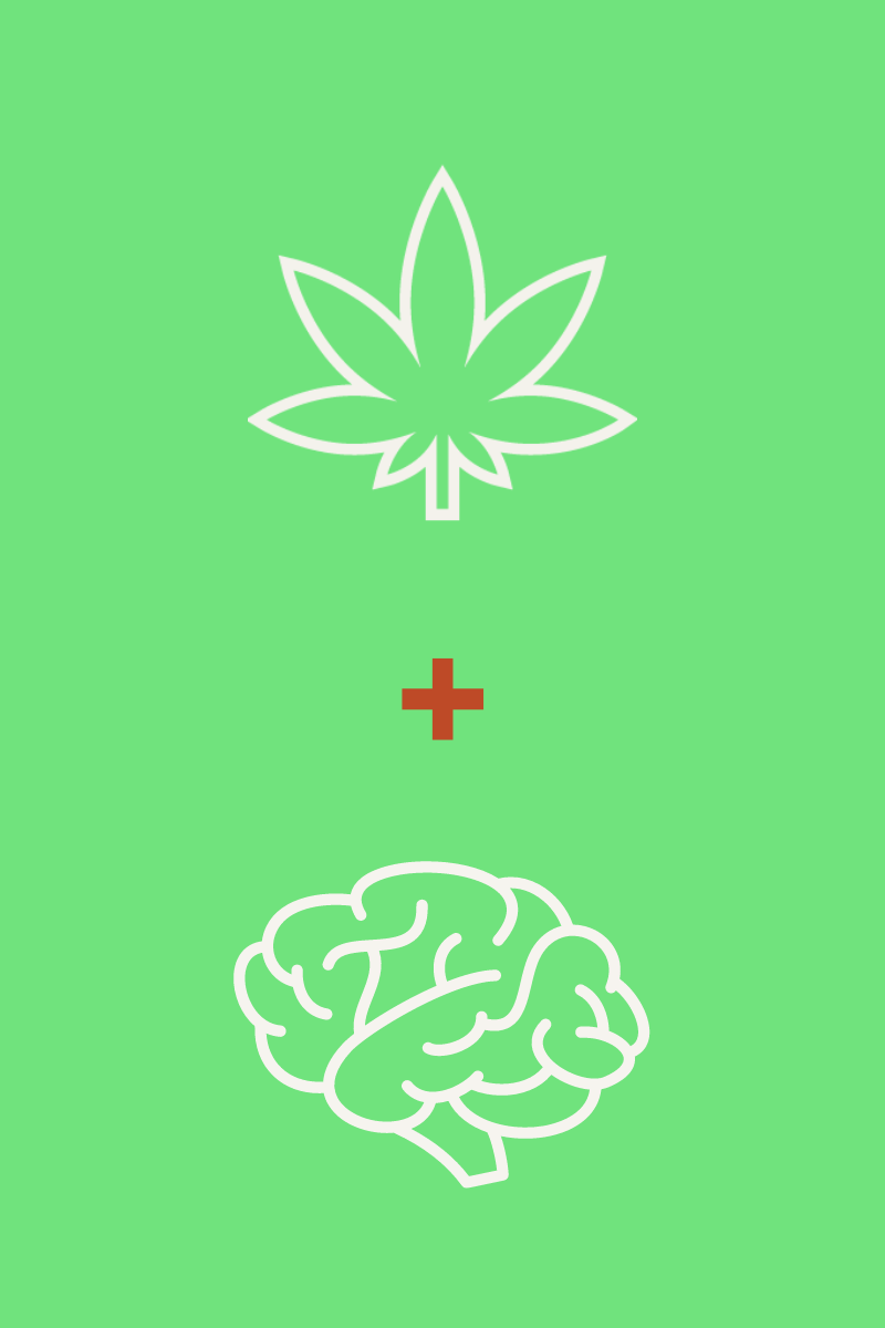 cannabis + brain 