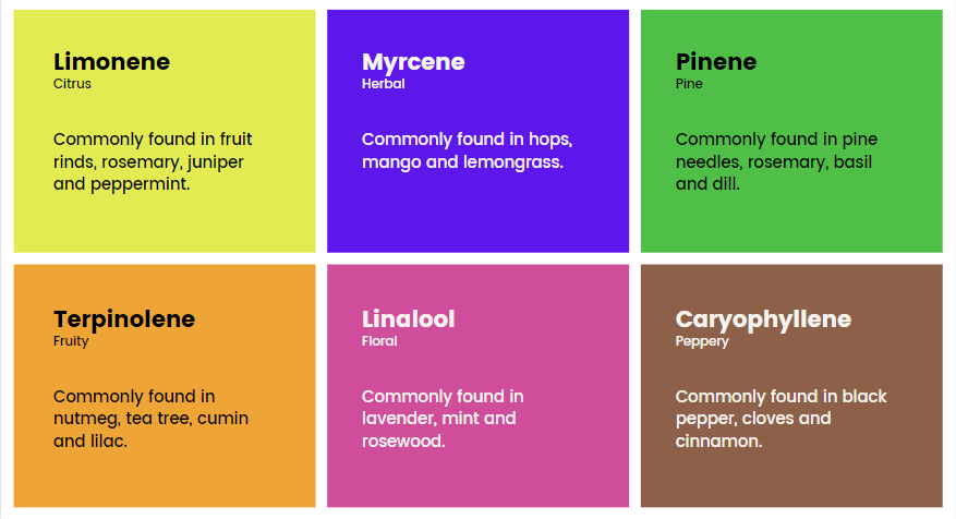 terpenes - what is in cannabis