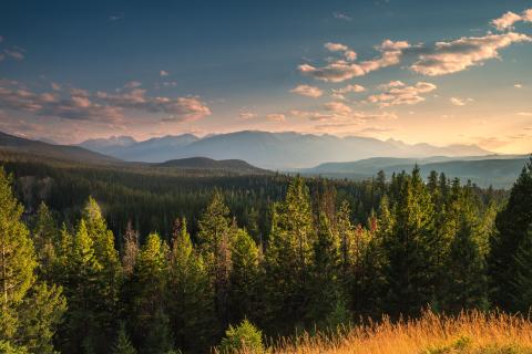 CannabisSense. Your Cannabis Questions Answered. alberta-landscape