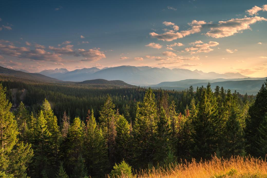 alberta-landscape