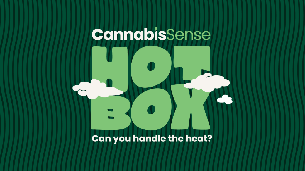 hot box promo tile