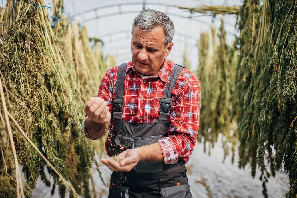 Older adult measuring grain with their hands