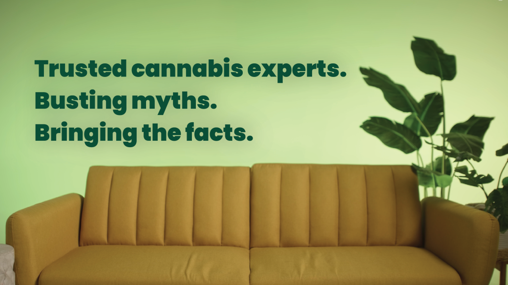 CannabisSense's 4 in 20